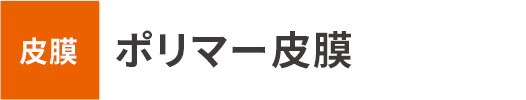 皮膜